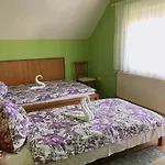 Zsuzsi Vendeghaz 3*
