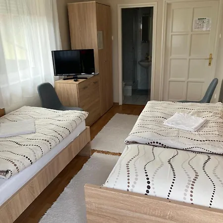 Zsuzsi Vendeghaz זלאגרסג