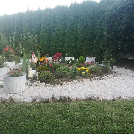 Pensionat Zsuzsi Vendeghaz