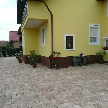 Zsuzsi Vendeghaz