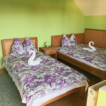 Zsuzsi Vendeghaz