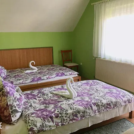 Zsuzsi Vendeghaz *