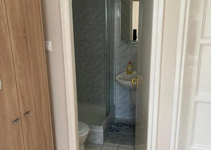 Zsuzsi Vendeghaz זלאגרסג