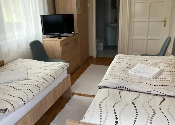 Zsuzsi Vendeghaz זלאגרסג