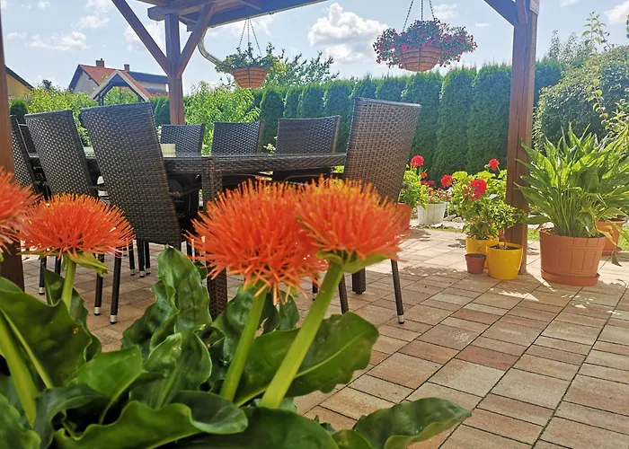 Zsuzsi Vendeghaz זלאגרסג