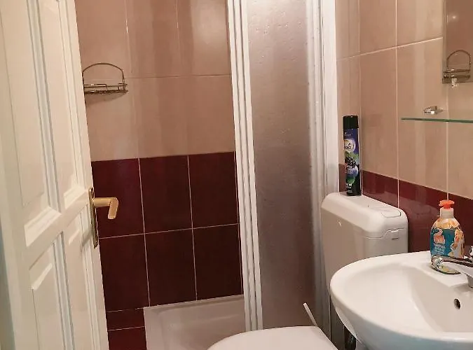 Zsuzsi Vendeghaz Gasthuis 3*